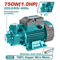 Pompe à eau périphérique 1 CV 750 W 220 V 750 W 52 m - TWP17506-5